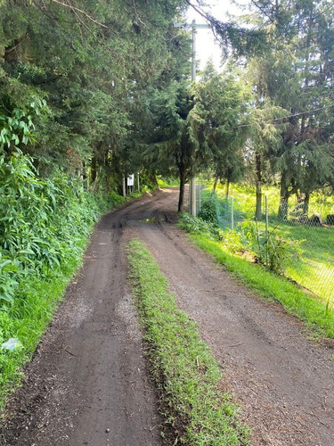 Imagen 5 de 5 de Gran Terreno En Paraje Mechinanco, Huitzilac, Morelos.