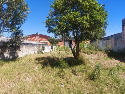 Imagem 3 de 17 de Terreno À Venda, 484 M² Por R$ 530.000,00 - São Cristóvão - São José Dos Pinhais/pr - Te0267