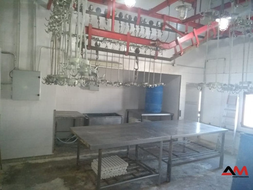 Planta, Frigorifico S/ Senasa Vacuno/porc. Mataderos (con Renta)