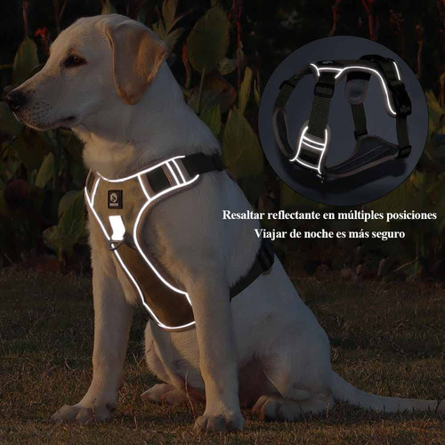 Pechera Para Perro Extra Grande, Con Correa Para Perro 2 M,