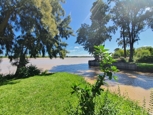 Imagen 1 de 7 de Terreno En Venta Delta Tigre Sobre Paraná De Las Palmas