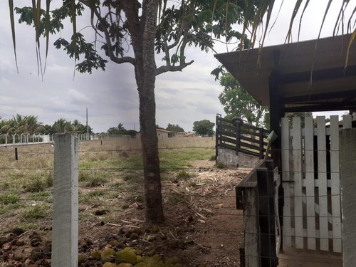 Imagem 7 de 15 de Chácara Para Venda, Zona Rural - In - 0028_1-1741101