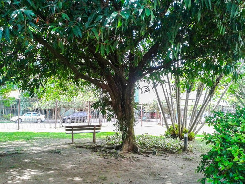 Imagem 8 de 16 de Apartamento Menino Deus Porto Alegre - 1672