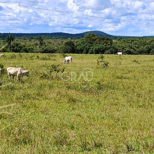 Finca En Venta En Ciudad Bolivar Tumeremo