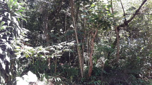 Imagem 3 de 3 de Terreno, Parque Sinai, Santana De Parnaíba - R$ 125 Mil, Cod: 235303 - V235303