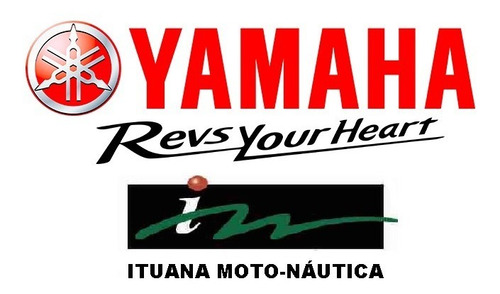 Imagem 2 de 3 de Motor De Popa Yamaha 40hp Awhs Partida Elétrica