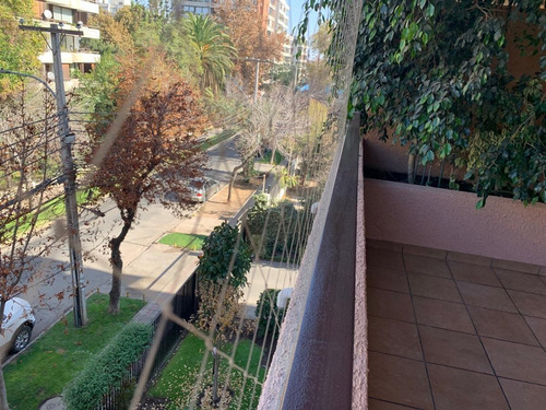 Arriendo Hermoso Departamento Las Violetas Su Dueño