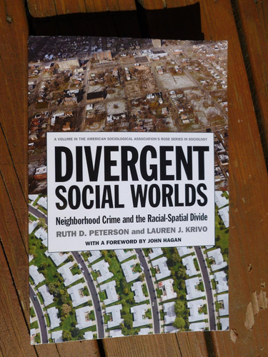 Libro: Divergent Social Worlds: Crime And The Racial-spatial