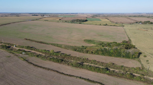 Campo Agricola De 21.5 Has En Corrales (antelo)