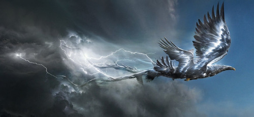 Imagen 6 de 7 de Libro: The Art Of The Film: Fantastic Beasts And Where To Fi