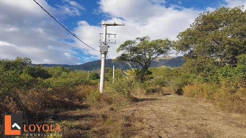 Imagen 19 de 30 de Carpintería, Lotes De 5000 M2