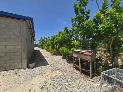 Se Vende Finca De 15 Tareas En La Vega