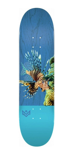 Tabla Skate Mini Logo Lion Fish 8.0 | Laminates