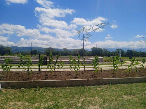 Imagen 9 de 12 de Venta Terreno Bº El Recodo Ruta 51