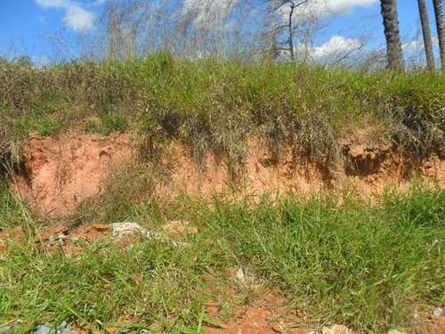 Lote Para Comprar No Vale Das Orquídeas Em Contagem/mg - 15423