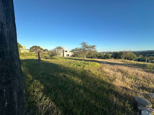 Venta Lote Tierra Alta Plano 1343 M2