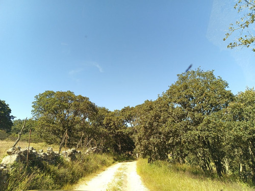 Terreno En Venta En Sierra De Lobos