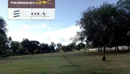 Imagem 10 de 12 de Chácara Próxima Ao Autódromo De Goiânia ! Com Piscina ! 13.336 Metros - 31