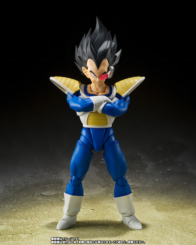 Bandai Sh Figuarts Dbz Vegeta Namek 2400 Power Level