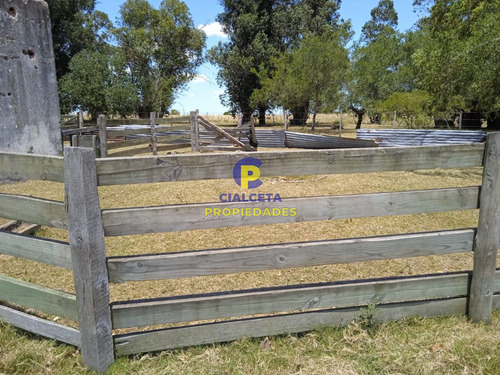 23 Hectáreas En Lavalleja Con Arroyo