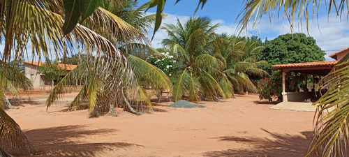 Sítio Com 2 Casas, Água, Internet E Energia - Manga-mg - Ideal Para Lazer Ou Criação