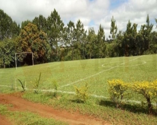 Imagem 11 de 15 de Linda Chácara Localizada No Éden São 11.000 M² De Área Total Sendo 600,00 M² De Área Construída Área Urbana A 1.500 Metros Do Bairro, Com Duas Casas: 1ª 400 M² Tod - 1568 - 32401905