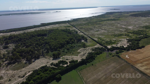 Campo De 205 Has Con Costa Al Río De La Plata En Carmelo