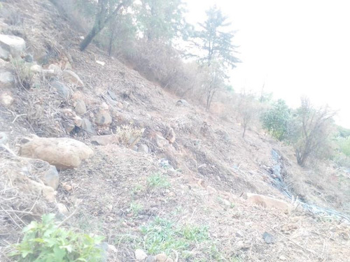 Imagen 2 de 3 de Terreno En Venta Tarerío