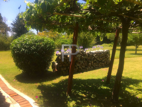 Imagen 9 de 16 de Chacra En Venta Punta Ballena 3 Dormitorios, 4 Hectáreas