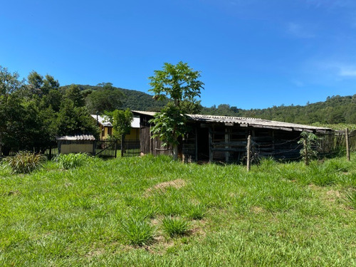 Chácara 4.300 M² - Lomba Grande - Novo Hamburgo - Rs - 2503 - 69237736
