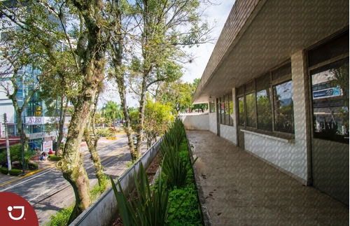 Imagen 5 de 30 de Edificio En Venta En El Centro De Xalapa