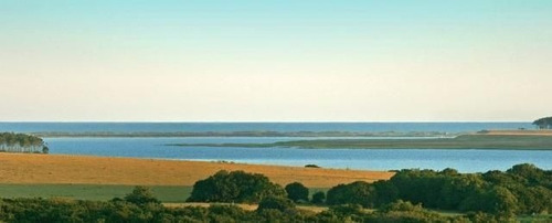 Quinta En Venta En Jose Ignacio