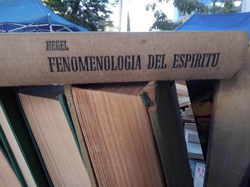 Hegel. Fenomenologia Del Espiritu. Primera Edicion En Españo
