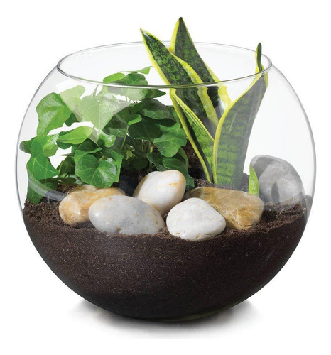 Vaso Aquario De Vidro Vaso Redondo 4,5 L