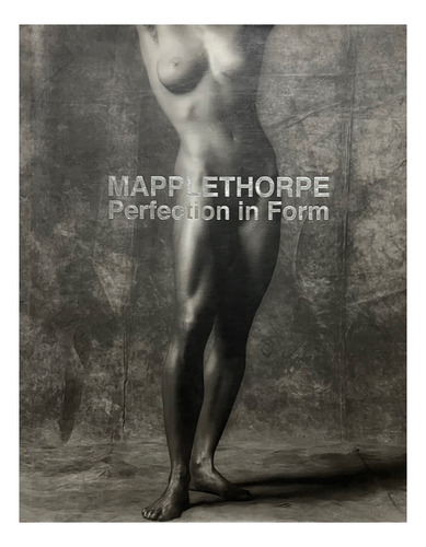 Mapplethorpe - Perfection In Form (Usado)