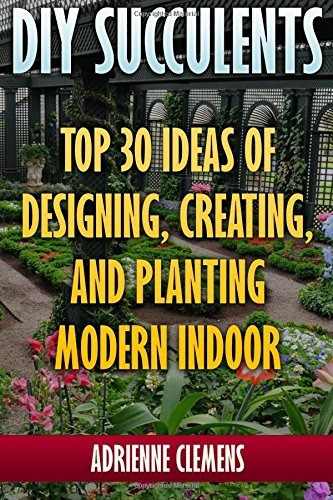 Diy Succulents Top 30 Ideas Of Designing, Creating, And Plan