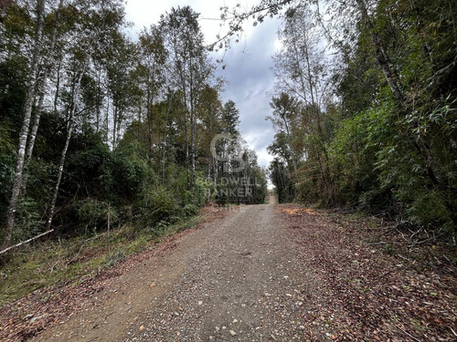 Parcela En Fresia Con Acceso Al Rio Llico