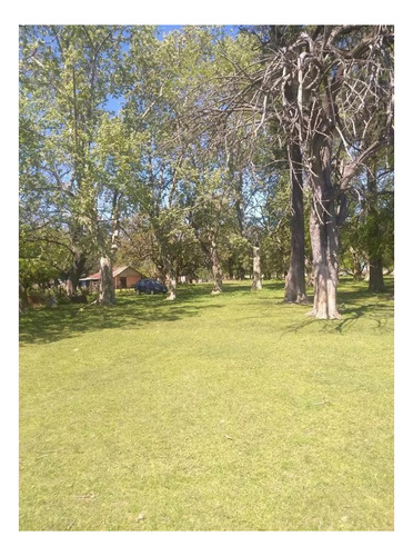 Imagen 5 de 9 de Campo En Venta - 296ha - Magdalena