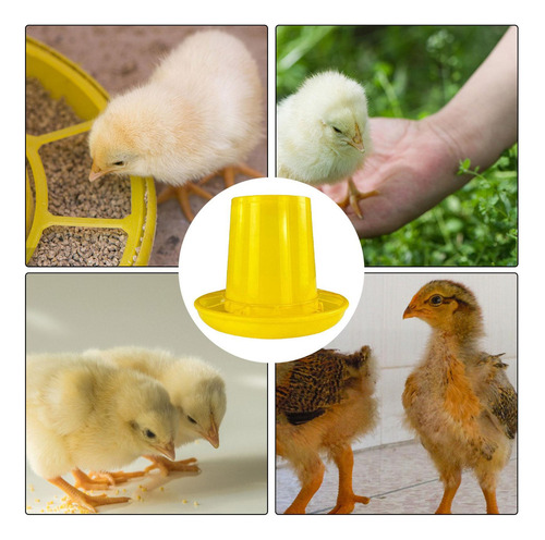 Para Pollos Para Pollitos Para Pollos Sin Desperdicio