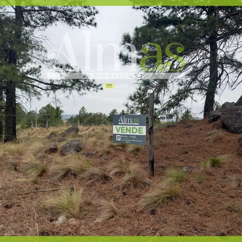Excelente Oportunidad! Terreno De 11.082mts2 C/agua Vertiente Permanente, Arboleda Autóctona, Ideal Complejo Turístico. Escrituración Inmediata!!