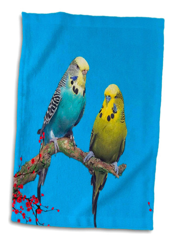 Toalla De Mano 3d Rose Wildlife Budgie, 15 X 22