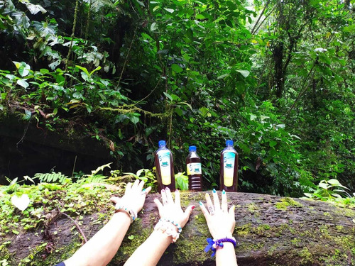 Imagen 10 de 10 de Sinchicara(tequila Amazonico)licor 100% Natural Aguardiente