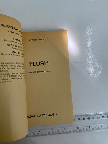 Flush Virgina Woolf Salvat (Usado)