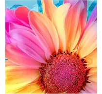 Comprar Arte, Manualidades Y Costurapintura, Dibujo Y Materiales