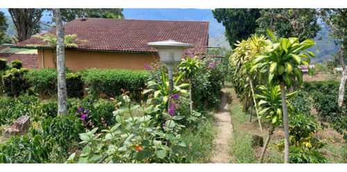 Venta Finca 14 Ha, Boconó Edo. Trujillo, Venezuela