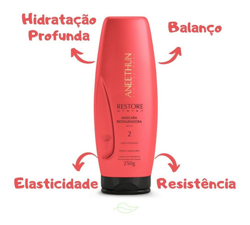 Restauração Aneethun Shampoo + Máscara Restore System