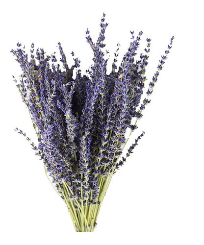 Flores Decorativas De Lavanda Secas, 50 Unidades
