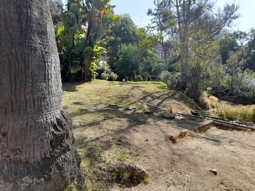 Dueño Arrienda Depto Quinta Claude, Centro De Viña Del Mar