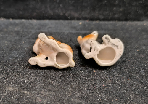 Miniaturas 2 Perros De Porcelana Inglesa (Usado)