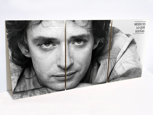 Gustavo Cerati Cuadro Decorativo Rock Blanco Y Negro